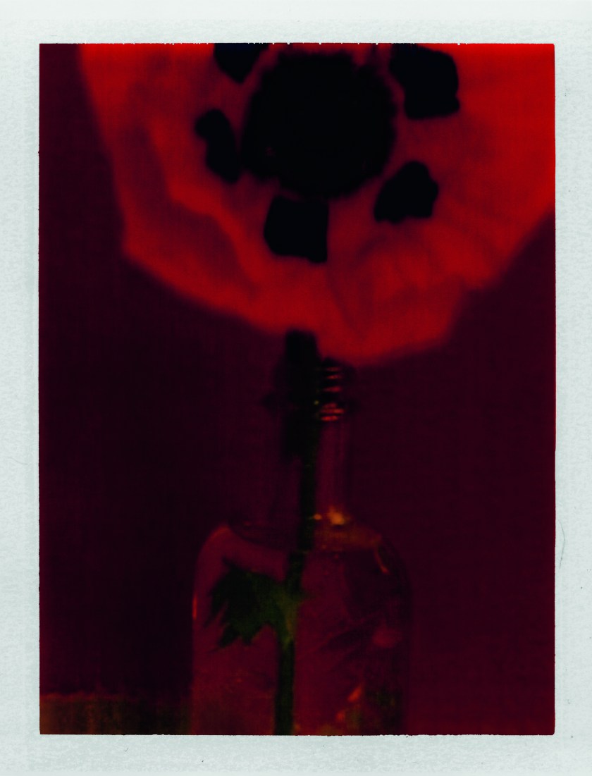 sarah-moon-for-nars-sarah-moon-archival-image-5